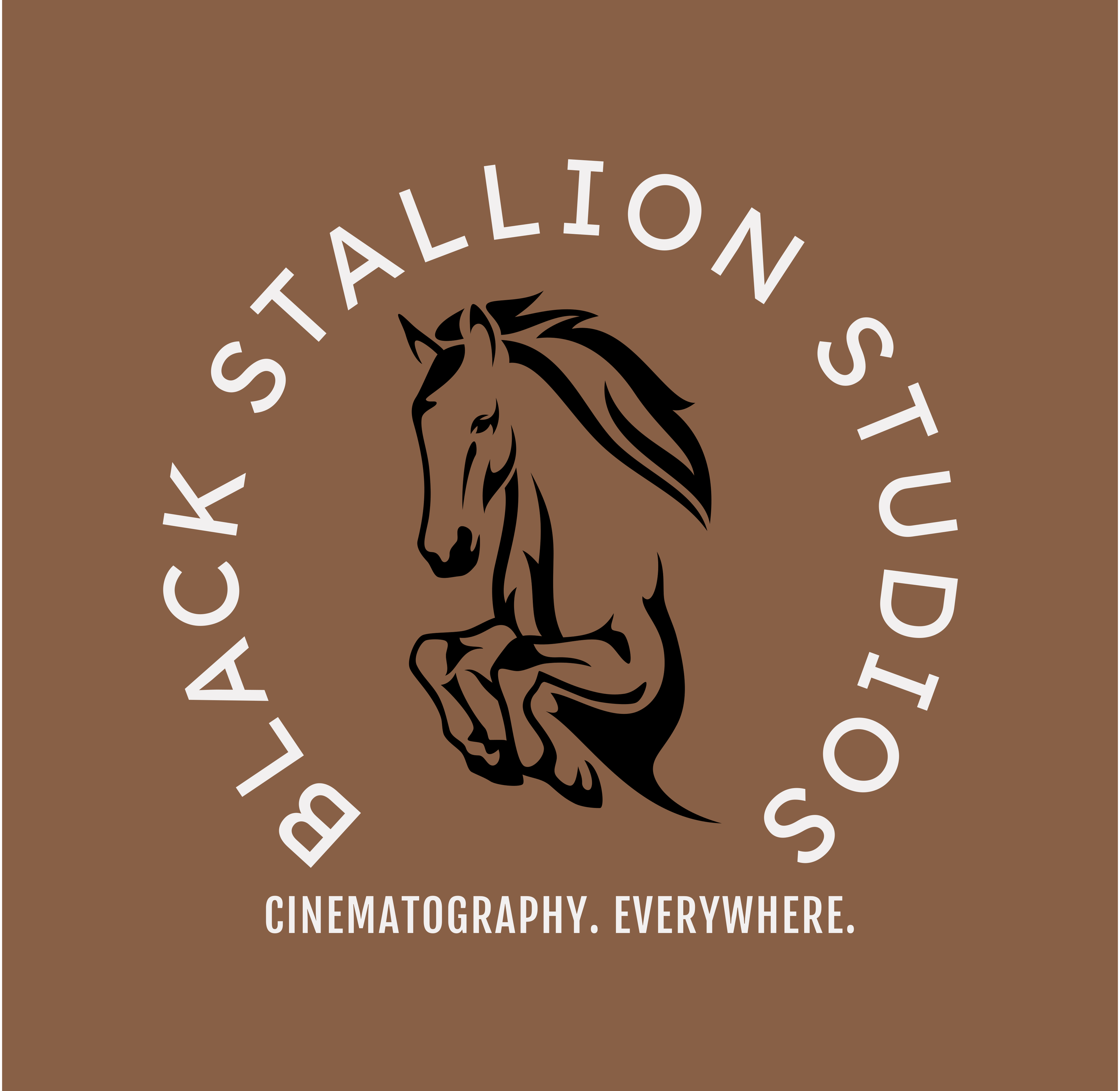 Black Stallion Studios